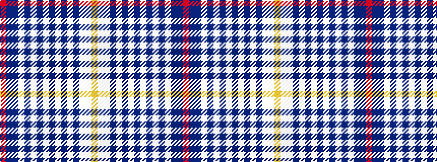 idealised woven sample of pattern RBBWBWBWBWBWBWWY