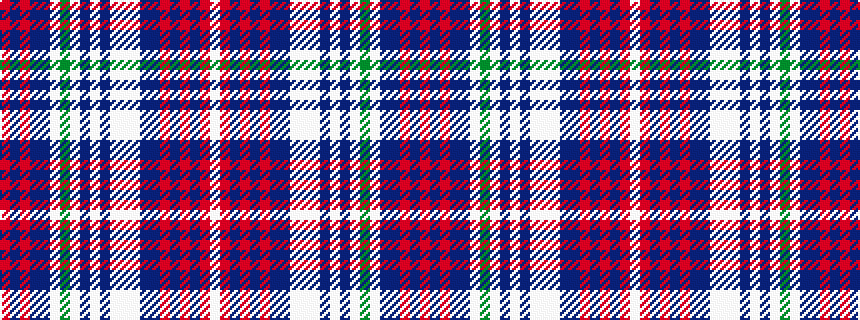 idealised woven sample of pattern RBRBBWGWBWBWWWBBRBRBRW