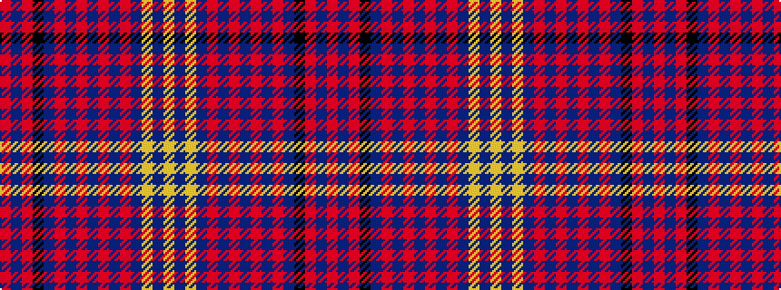 idealised woven sample of pattern RBRKBRBRBRBRBYBY