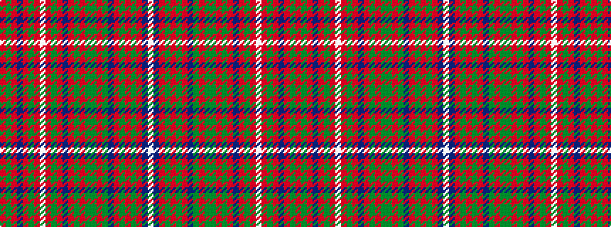 idealised woven sample of pattern RGRBRGRWRGRBRGRGGRGBRGRGRBW