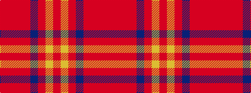 idealised woven sample of pattern RRRRBRYR