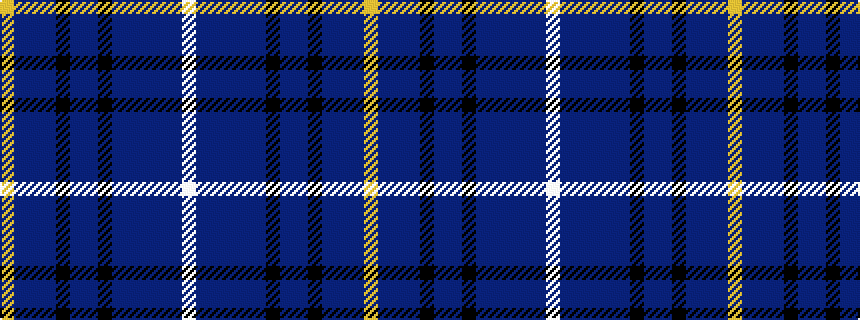 idealised woven sample of pattern WBBBBBKBBKBBBY
