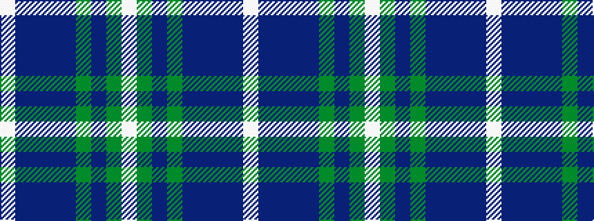 idealised woven sample of pattern WBBBBGBGW