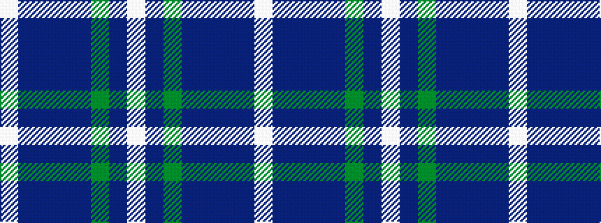 idealised woven sample of pattern WBBBBGBW