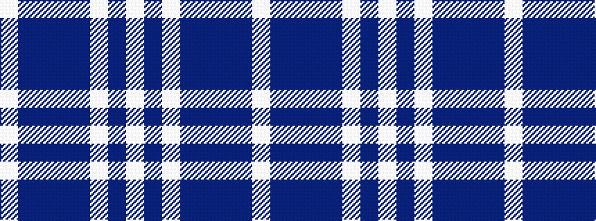 idealised woven sample of pattern WBBBBWBW