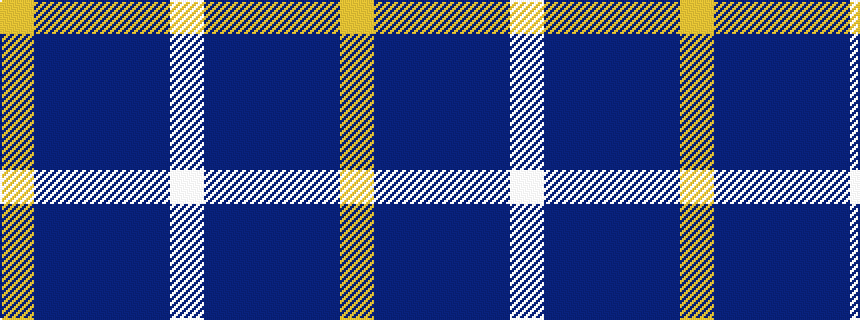 idealised woven sample of pattern WBBBBY