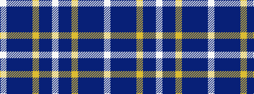 idealised woven sample of pattern WBBBBYBBW
