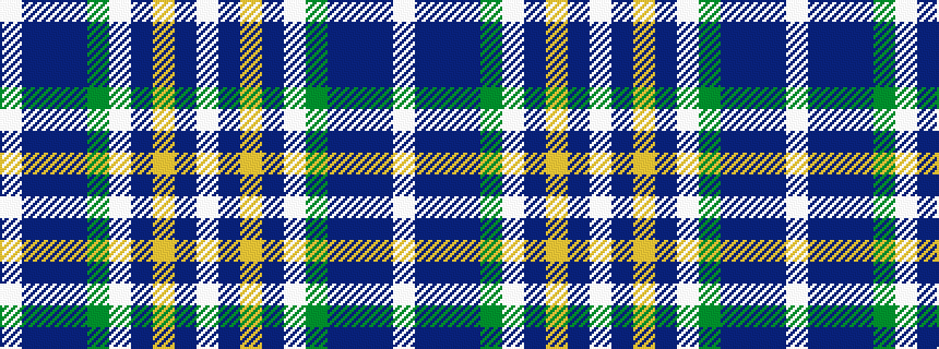 idealised woven sample of pattern WBBBGWBYBW