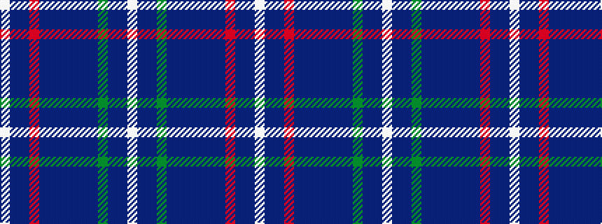idealised woven sample of pattern WBBGBBBBBBRBBW