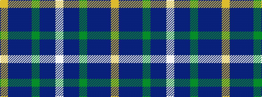idealised woven sample of pattern WBBGBBBY