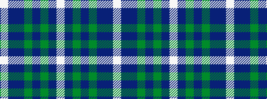 idealised woven sample of pattern WBBGBGBW