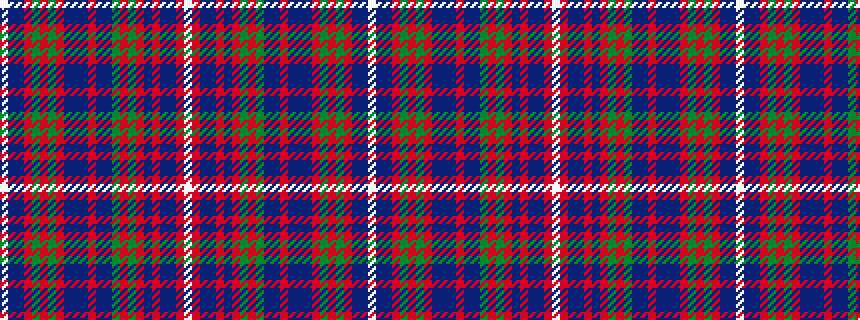 idealised woven sample of pattern WBBRGRGRBBBRBBGRGRBRBBRW