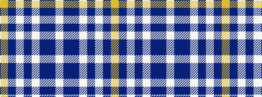 idealised woven sample of pattern WBBWBWBY