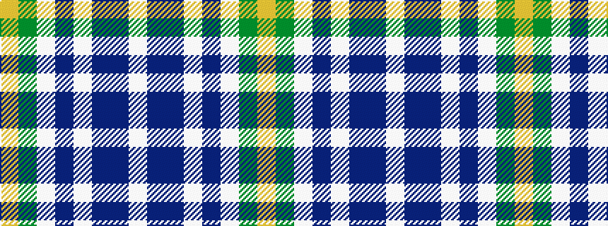idealised woven sample of pattern WBBWBWGY