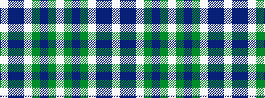 idealised woven sample of pattern WBBWGBGW