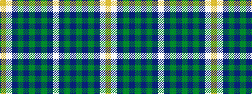 idealised woven sample of pattern WBGBGBGBWY