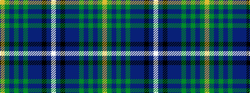 idealised woven sample of pattern WBKBBBGBGBGY