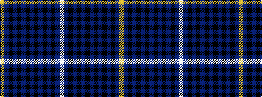 idealised woven sample of pattern WBKBKBKBKBKBKBY
