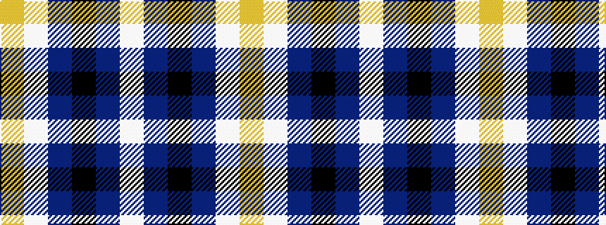 idealised woven sample of pattern WBKBWY