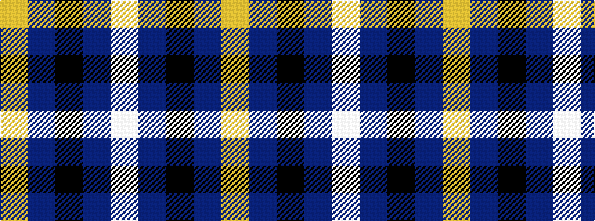 idealised woven sample of pattern WBKBY