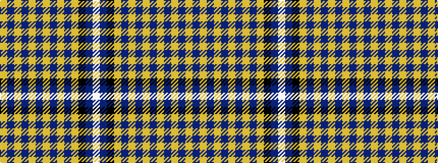 idealised woven sample of pattern WBKYBYBYBYBYBY