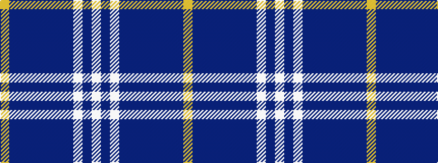idealised woven sample of pattern WBWBBBBBBBY