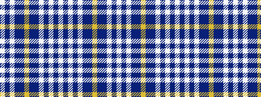 idealised woven sample of pattern WBWBBYBBWBWBW