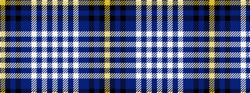 idealised woven sample of pattern WBWBWBBKBKY