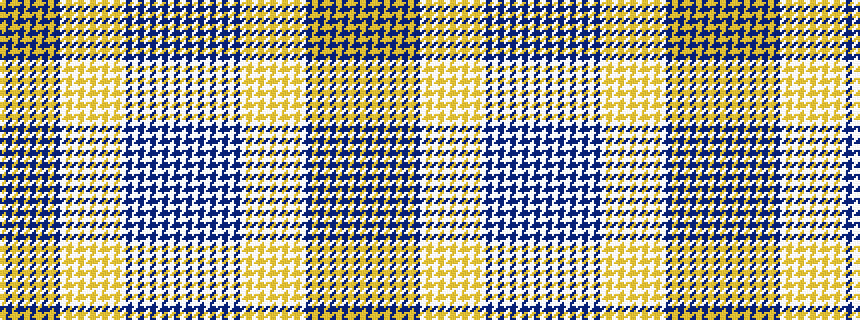 idealised woven sample of pattern WBWBWBWBWBWYWYWYWYWYWBYBYBYBYBY