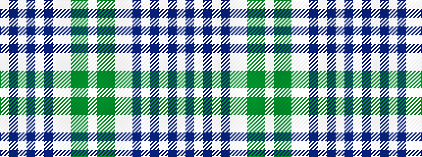 idealised woven sample of pattern WBWBWBWWGGW