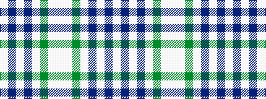 idealised woven sample of pattern WBWBWGWW