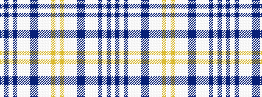 idealised woven sample of pattern WBWBWWWBBWWWYW