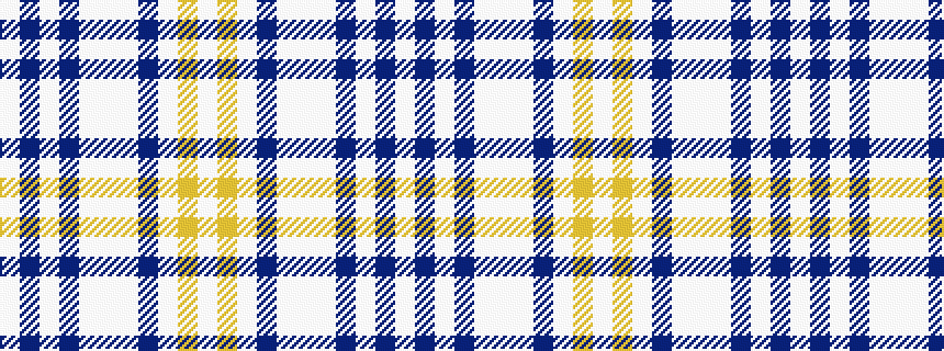 idealised woven sample of pattern WBWBWWWBWYW