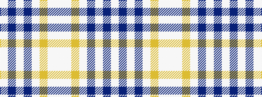idealised woven sample of pattern WBWBWYWW