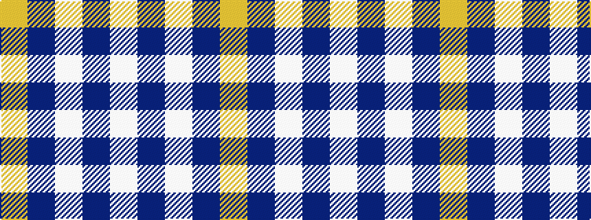 idealised woven sample of pattern WBWBY