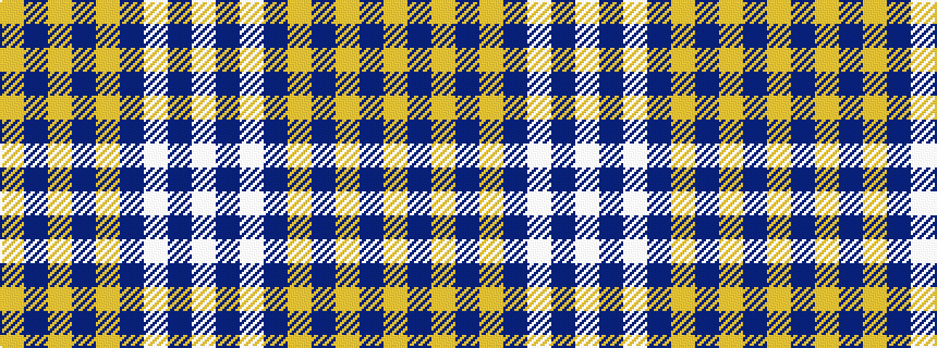 idealised woven sample of pattern WBWBYBYBY