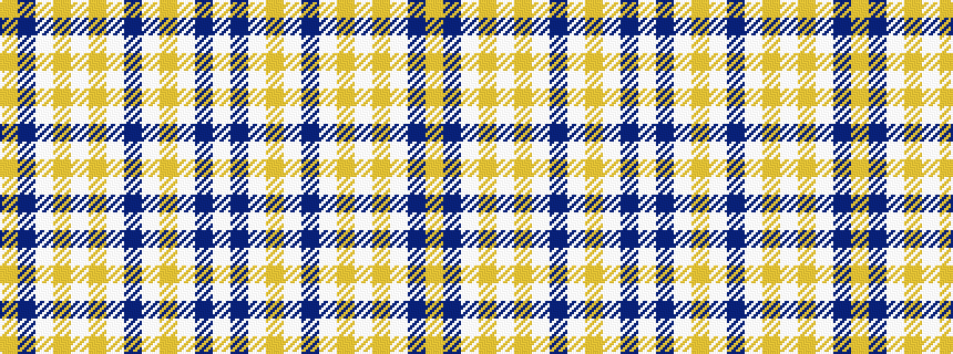 idealised woven sample of pattern WBWYWBWYWYWBY