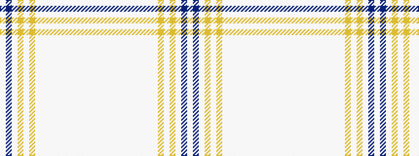 idealised woven sample of pattern WBWYWYWWWWWWWWWWW