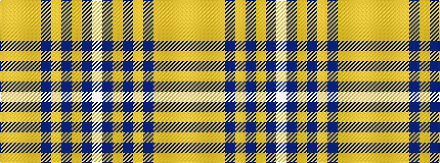idealised woven sample of pattern WBYBYBYYYY