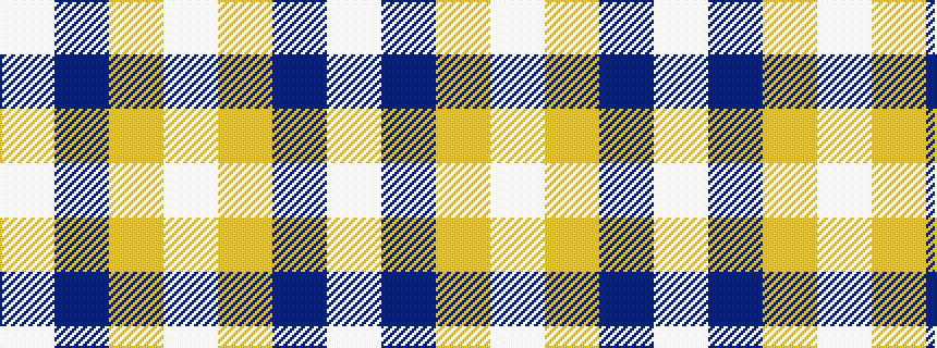 idealised woven sample of pattern WBYW