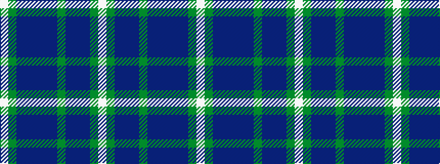 idealised woven sample of pattern WGBBBBBGBBBGW