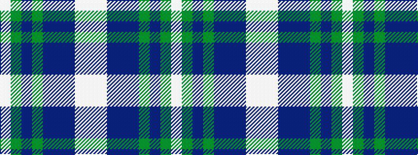 idealised woven sample of pattern WGBGBBBWW