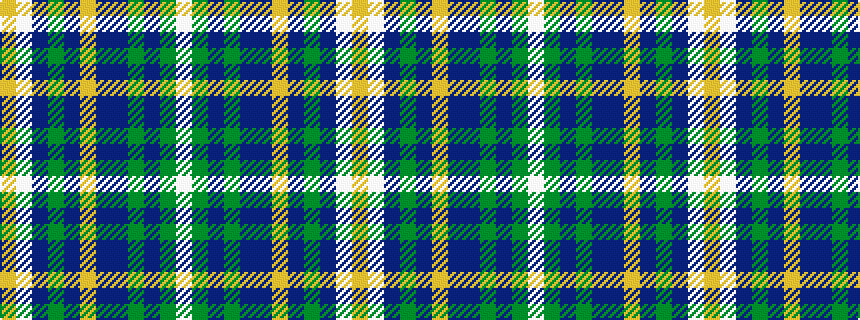 idealised woven sample of pattern WGBGBBYBGBWY