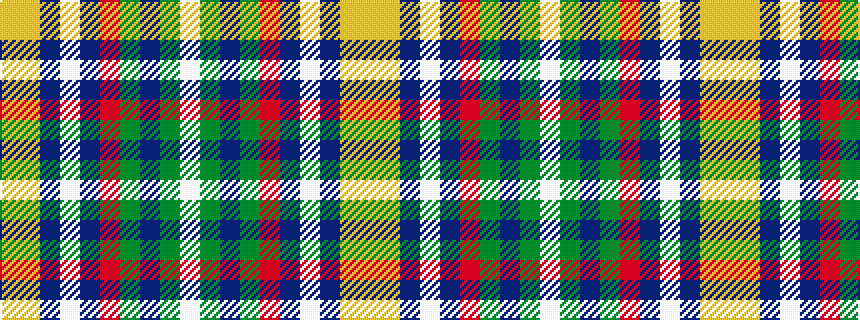 idealised woven sample of pattern WGBGRBWBYY
