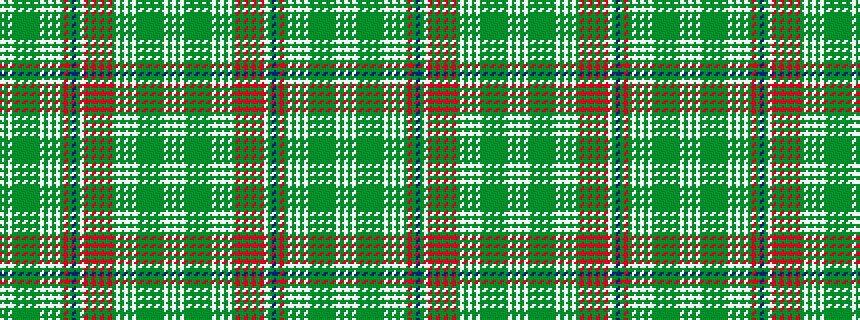 idealised woven sample of pattern WGWGGGGGGGWGWGWGRGBGWRGRGRGRGWGWGWGGGGGGGWGW