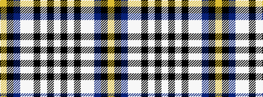 idealised woven sample of pattern WKWKWWBKY