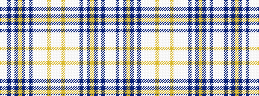 idealised woven sample of pattern WWBWBYBWBWWWWYWW