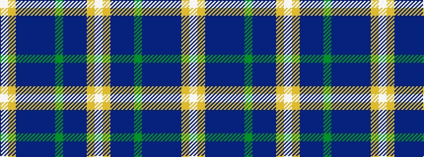 idealised woven sample of pattern WYBBBBBGBBBYW