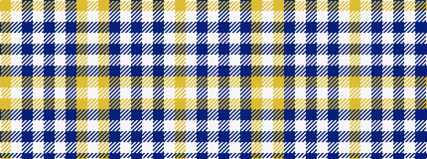 idealised woven sample of pattern WYBWBWBWY