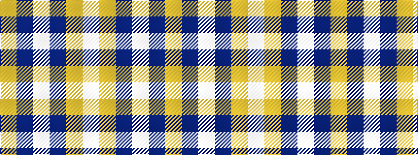 idealised woven sample of pattern WYBWBY